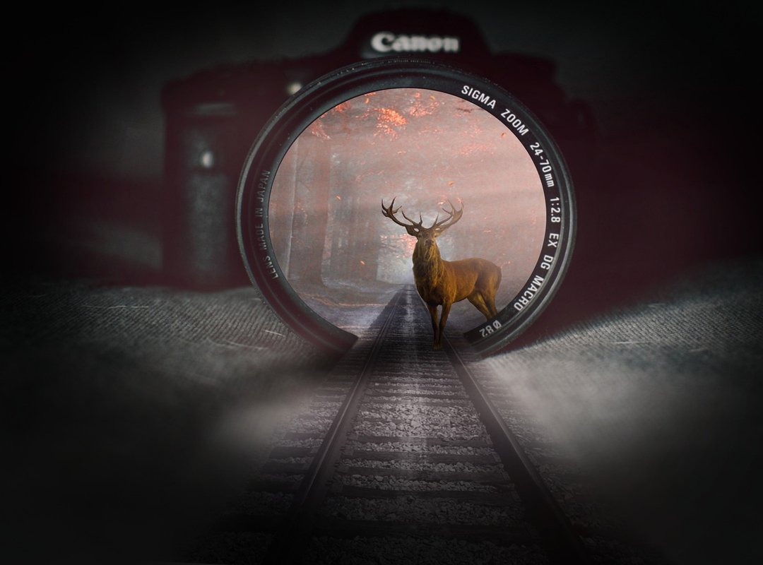 Hingagyi Allkyhoops Burmese