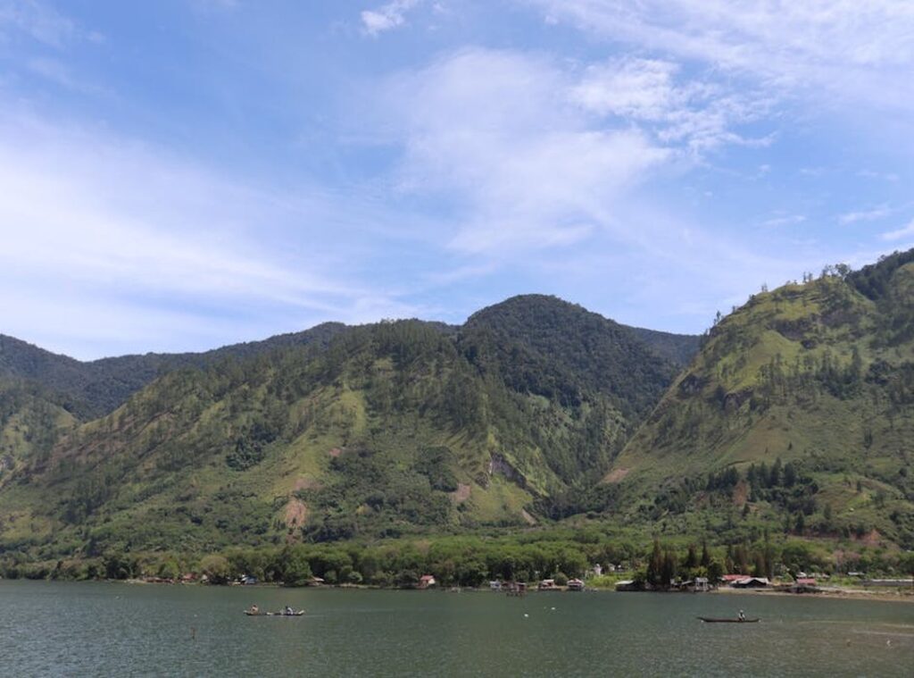 lukisan hidupan laut hitam putih